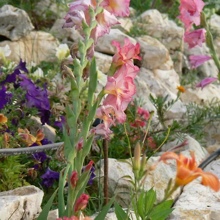 Angela Pool Gardens And Sea Views *